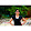 Resha Kristianti Resha Kristianti's profile photo