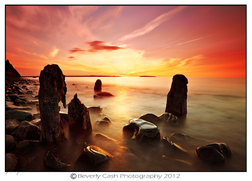 posted image