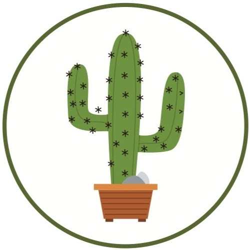 Kaktüs Smoothies & More logo