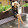 Lê thị Hải Lê thị Hải's profile photo