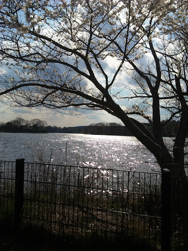 Park «Spy Pond Park», reviews and photos, Pond Lane, Arlington, MA 02474, USA