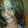 Gladys Moran Gladys Moran's profile photo