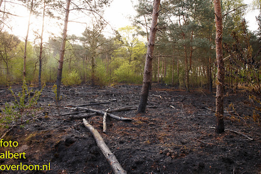 nacontrole bosbrand Overloon 18-04-2014 (19).jpg