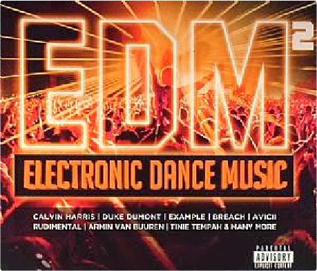 VA EDM Electronic Dance Music 2 [2013] 2014-01-22_02h41_28