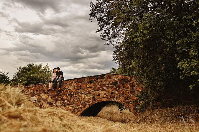 aniversario de boda en Aldea Santillana