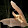 Bertrik Sikken Bertrik Sikken's profile photo