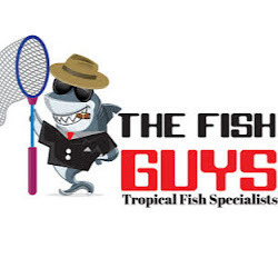 Fishyguy - logo