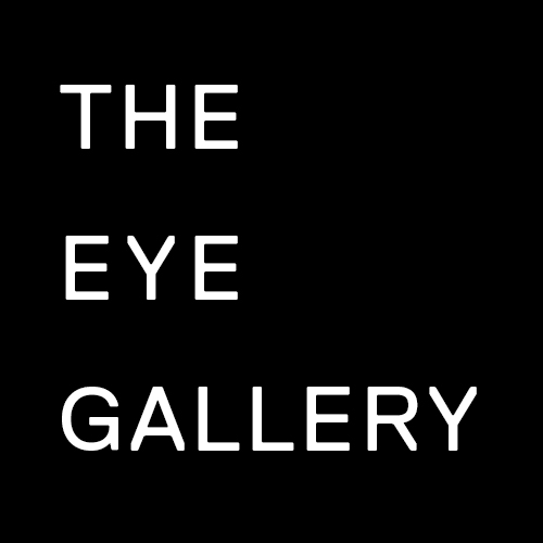 Eye Gallery Of Houston logo