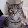 Tracey Siegel Tracey Siegel's profile photo