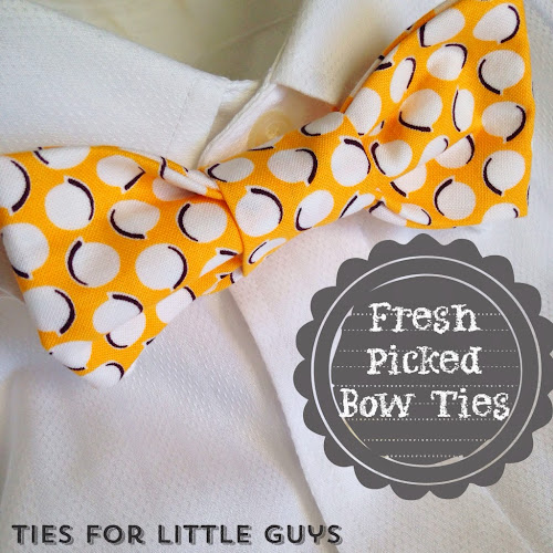 Bow ties for little boys, fresh picked ties, boys fashion