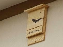 bat box