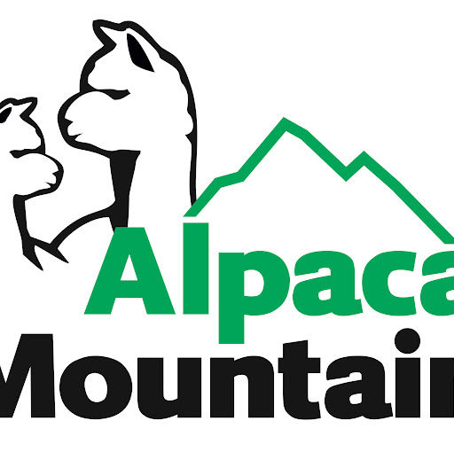 Alpaca Mountain / De IJspoort