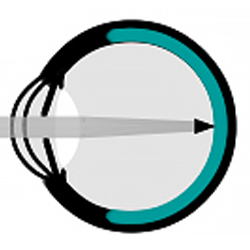 California Retina Consultants logo