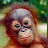 William Mckinstry avatar image