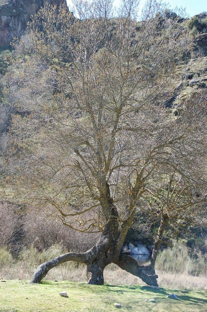DSC_8667.JPG