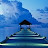 Kevin McNamara avatar image