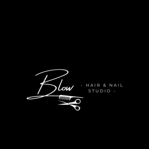 Blow Hair & Nail Studio logo
