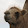 Jack Kagy Jack Kagy's profile photo