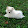 samyukta palle samyukta palle's profile photo