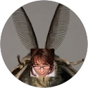 Christine Messer