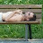 Bruce MacDonald avatar image
