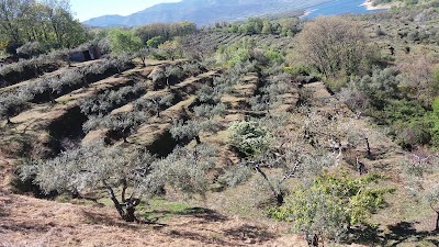 Photos of Campos De Ba&ntilde;os