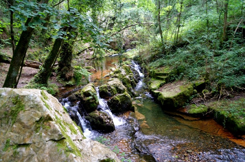 Cascadas y molinos de Oneta (Villayón) - Descubriendo Asturias (15)
