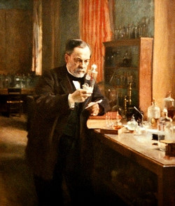 FastStoneEditor Louis Pasteur Sang Pelopor Mikrobiologi