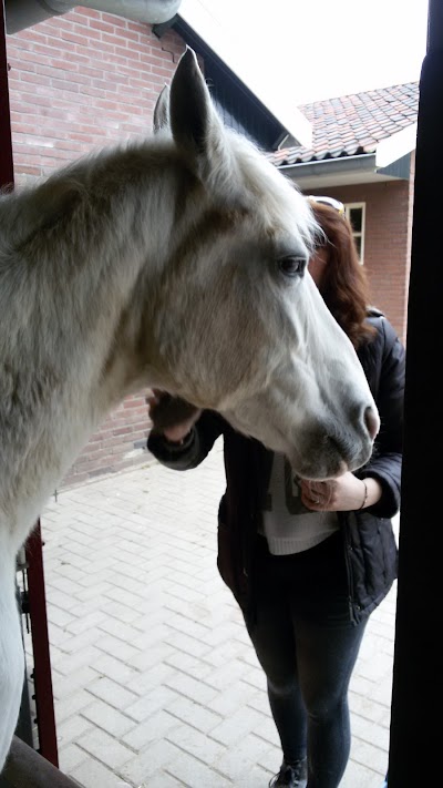 Stichting De Paardenkamp, Nationaal Rusthuis voor oude paarden en pony's