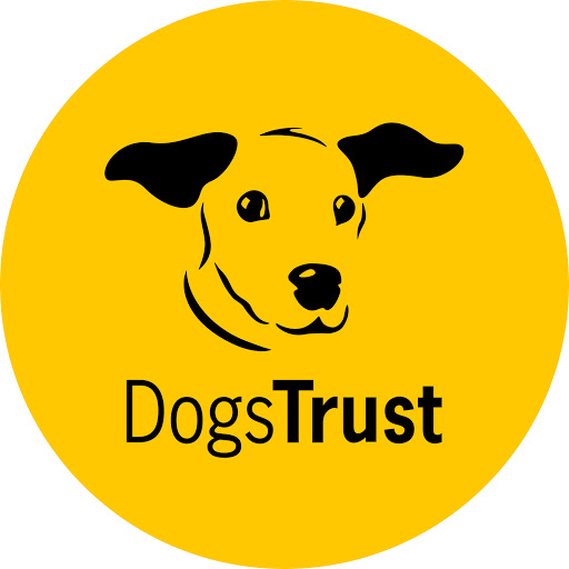 Dogs Trust Charity Shop - Poole
