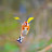 K KB avatar image