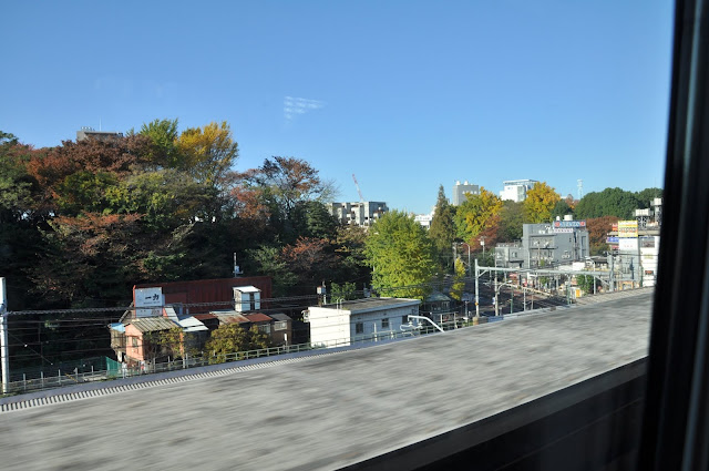 那須塩原駅で東北新幹線の撮影をしてから無料シャトルバスで那須どうぶつ王国へ 那須どうぶつ王国へカピバラに会いに行く旅 その1 とくとみぶろぐ