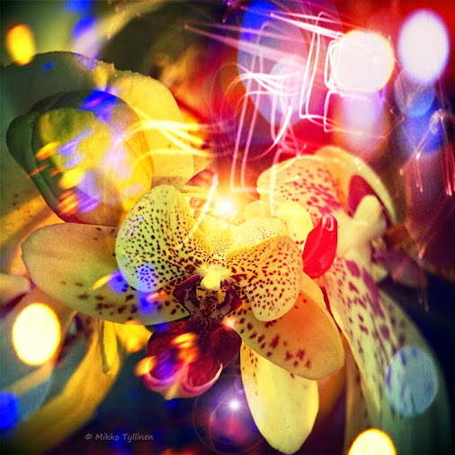 posted image