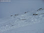 Avalanche Haute Tarentaise, secteur Col de l'Iseran, Col Pers - Plates du vallonnet - Grand-Torsai, - Photo 3 - © Moreau Michel