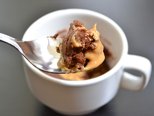 the one chocolate mug cake