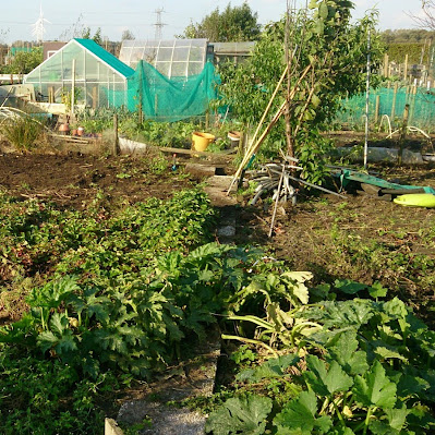 moestuin%2B2%2B-%2B1