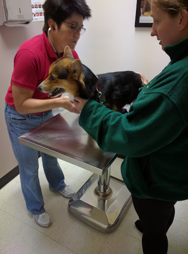 Animal Hospital «Parkway Animal Clinic», reviews and photos