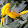 Muhammad Irshad Muhammad Irshad's profile photo