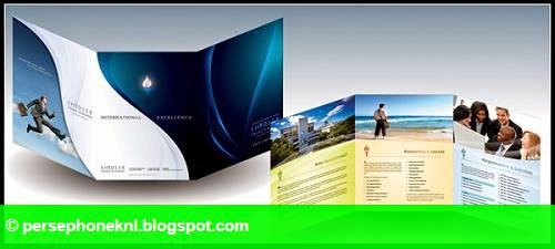 Hình 2:  Thiết kế brochure rẻ đẹp.   