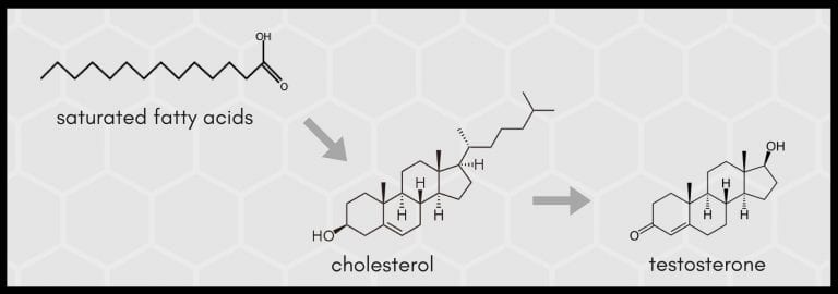 cholesterol