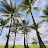 Venicio Sales avatar image