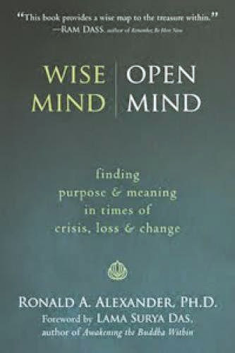 Wise Mind Open Mind By Ronald A Alexander Book Review