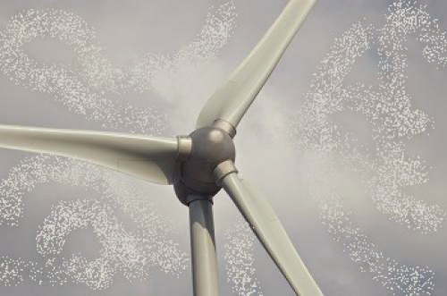 How Is Wind Energy Doing Compared To Other Forms Of Renewable Energy