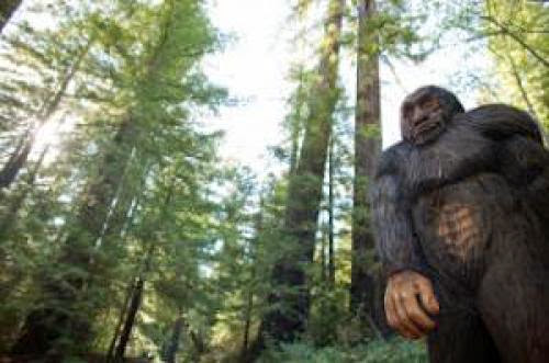 Scientists 95 Sure Bigfoot Lives In Russian Tundra