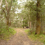 Trail south of Jenolan Caves Cottages (418043)