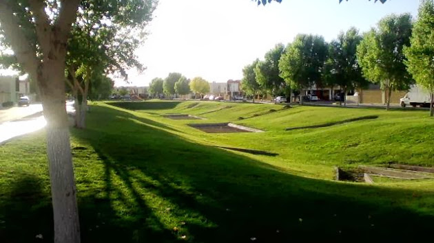 Cover photo