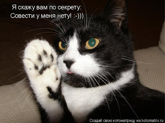 Ни дня без улыбки. Тупиковых ситуаций не бывает… Ни дня без улыбки. Тупиковых ситуаций не бывает…