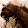 Azel Pyrrhos Azel Pyrrhos's profile photo