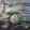 no lazy daisy no lazy daisy's profile photo