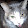 Kathlyn Hawley Kathlyn Hawley's profile photo